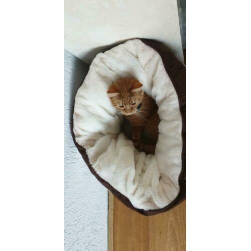 Ronde mand voor kat of kleine hond, bruin met beige,