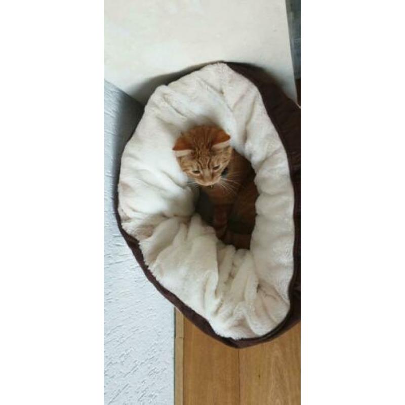 Ronde mand voor kat of kleine hond, bruin met beige,