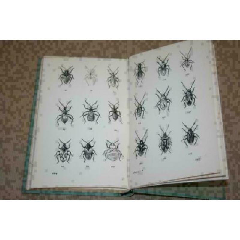 Wantsen (Insecten) - Serie Wat leeft en groeit - Ca 1950 !!
