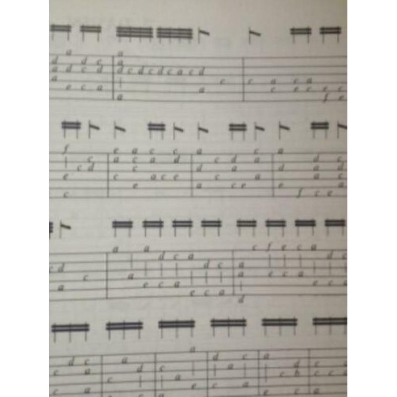 Luit, New lessons for the lute