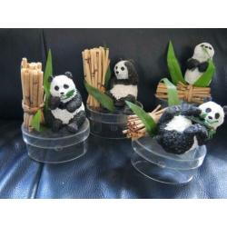 Koopje mooie panda-verzameling, collectie pandaberen