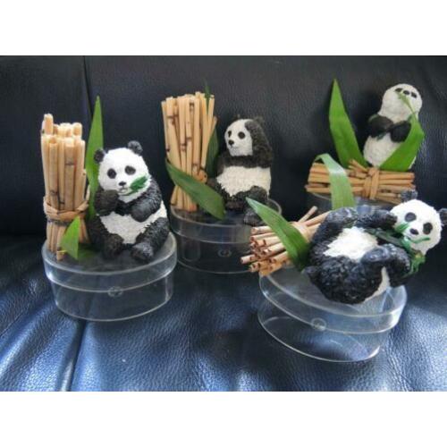 Koopje mooie panda-verzameling, collectie pandaberen