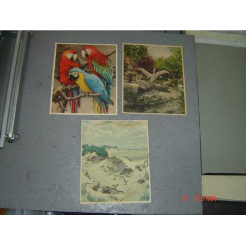 Verkade Album plaatjes en Vlaams album Gebarentaal Indianen