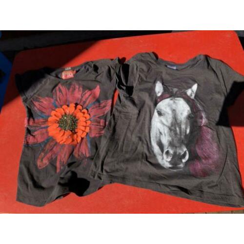 Flo shirt 116 + gratis shirt van een paard.