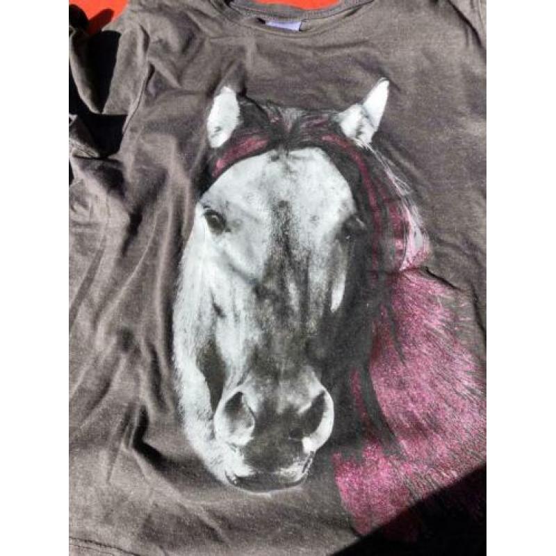 Flo shirt 116 + gratis shirt van een paard.
