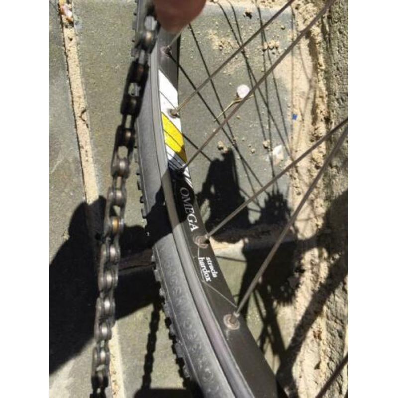 Alan guerciotti 1990 cyclo Campagnolo victory