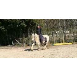 SD Elvive - Stoere kleine tinkermerrie