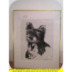 8851 - pentekening hond - Jan Spieker - € 15