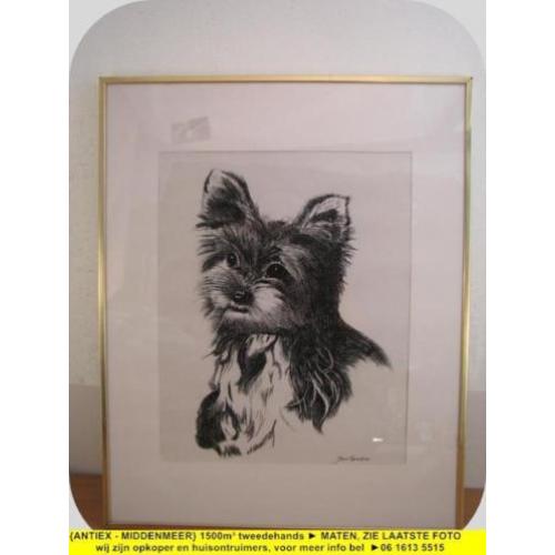 8851 - pentekening hond - Jan Spieker - € 15