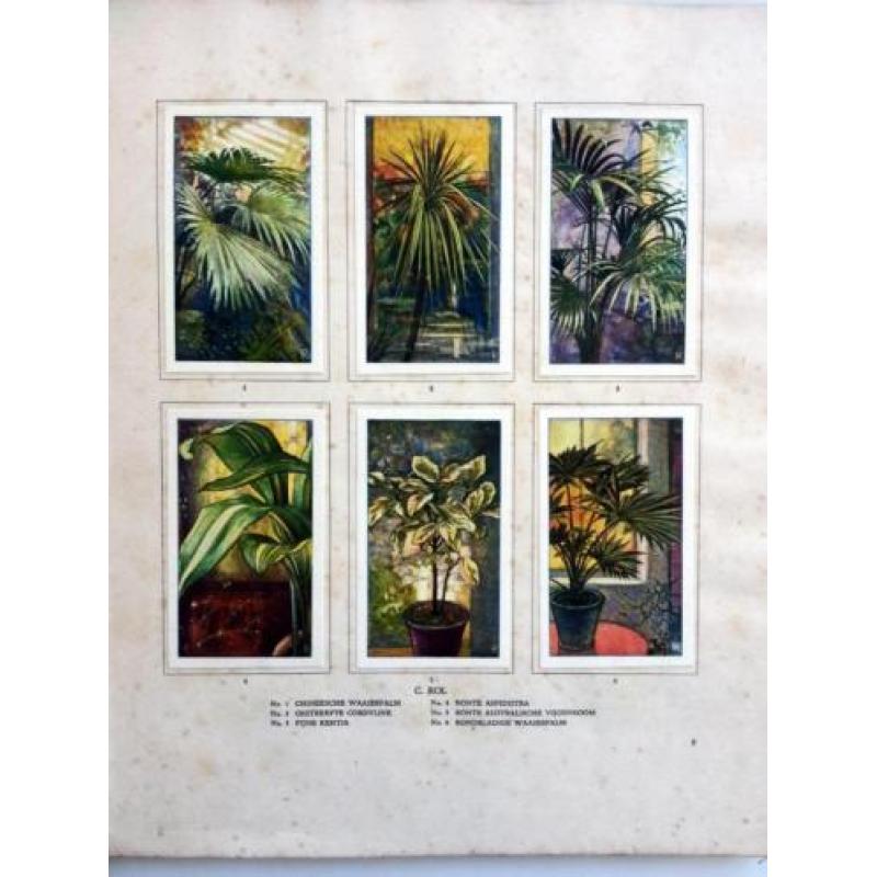 A.J. van Laren - Kamerplanten (Verkade) (Ex.2)