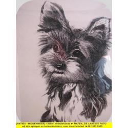 8851 - pentekening hond - Jan Spieker - € 15