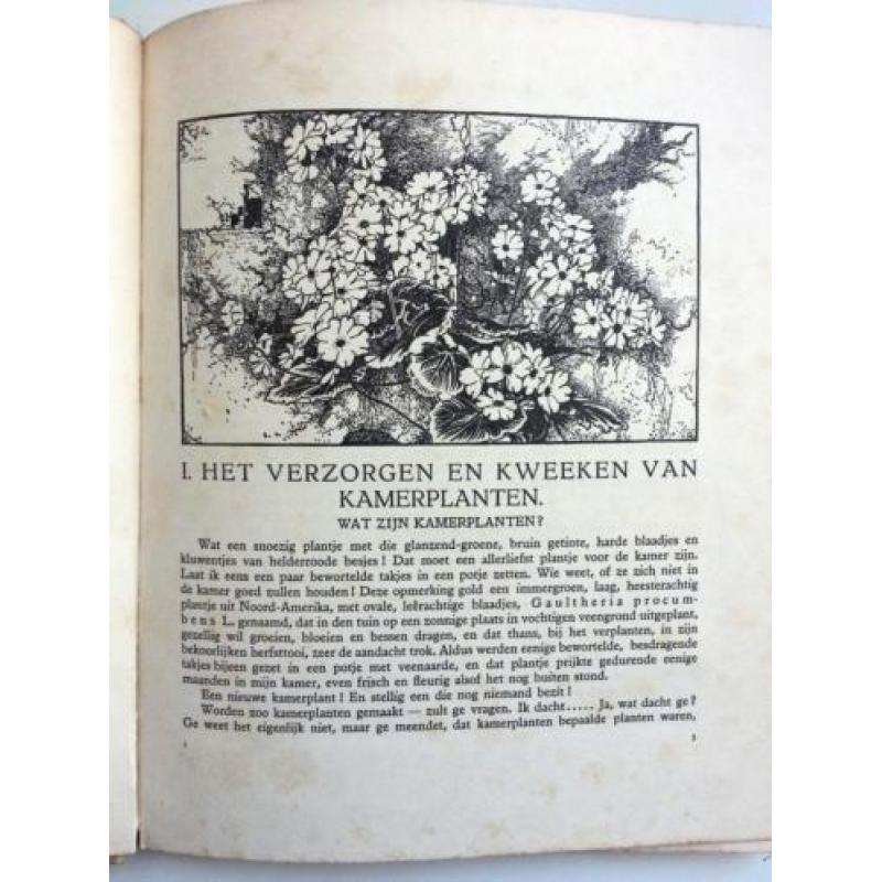A.J. van Laren - Kamerplanten (Verkade) (Ex.2)