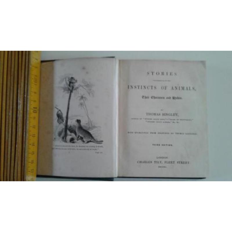 Bingley's stories about instinct