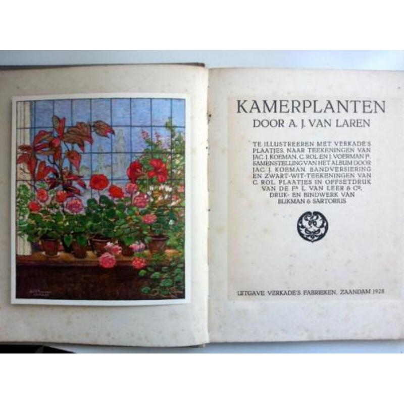 A.J. van Laren - Kamerplanten (Verkade) (Ex.2)