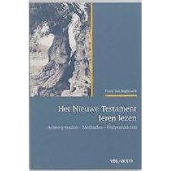 Vlaamse Bijbelstichting Het Nieuwe Testament 9789033456336