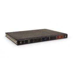 Twelve South BookBook iPad 2017 / 2018 / Air 1/2 Vintage
