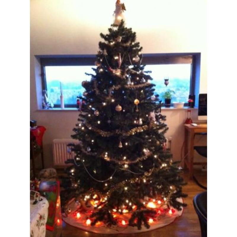 Volle kunstkerstboom 220cm hoog, moet weg ivm verhuizing