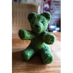 groene teddybeer van mos