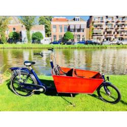 Bakfiets NL Cargo Long 8 vers veel extras!