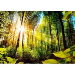 Fotobehang Natuur 18b-B-0248-a-a5 Gratis verzending